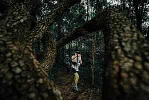 BIB: 
                            <button type="button" onclick="openModal(25673539)" class="btn btn-primary btn-sm float-right btn-popup" data-toggle="modal" data-target=".modal-high-quality">
                        <i class="fas fa-shopping-cart"></i> Add to Cart
                    </button>
                                            <button type="button" onclick="isThisMe(25673539, true)" class="btn btn-success btn-sm float-right btn-popup btn-isme hidden" data-toggle="tooltip" data-placement="bottom" title="นี่คือรูปของคุณใช่ไหม คลิกที่นี่เพื่อเอาเข้าอัลบั้ม">
                        <i class="fas fa-plus"></i> Add to album
                    </button>
                    <button type="button" onclick="isThisMe(25673539, false)" class="btn btn-warning btn-sm float-right btn-popup btn-isnotme hidden">
                        <i class="fas fa-ban"></i> Remove from album
                    </button>